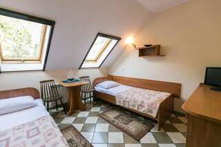 Отели типа «постель и завтрак» Gościniec pod Żaglami Skoki Duże Двухместный номер с 1 кроватью или 2 отдельными кроватями-10